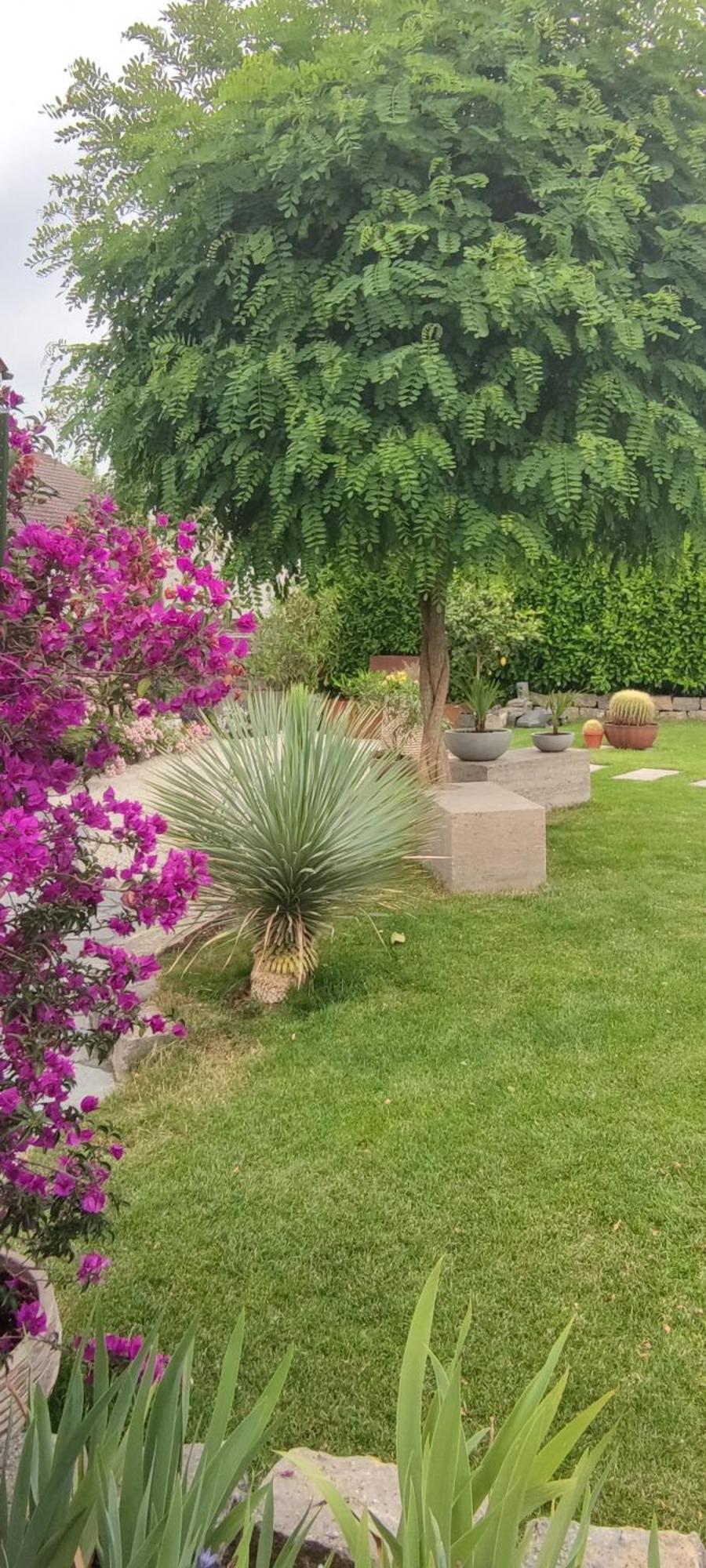Bel Giardino Daire FDH Dış mekan fotoğraf